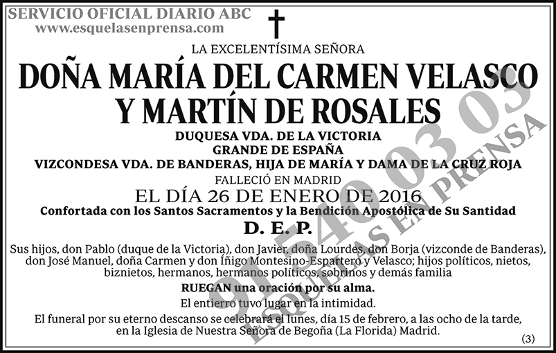 María del Carmen Velasco y Martín de Rosales